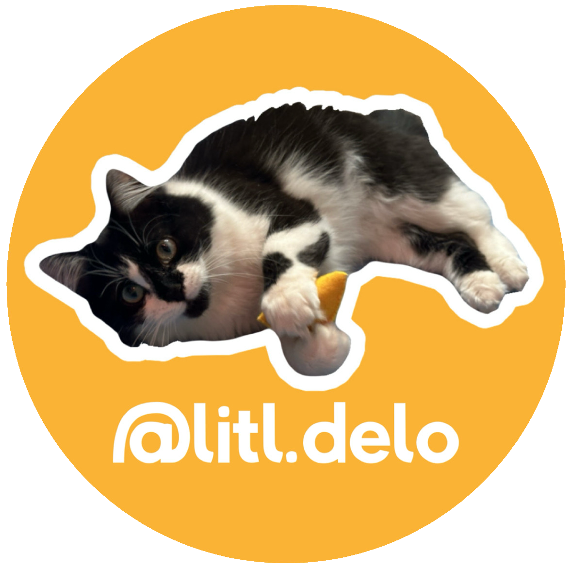 litl.delo