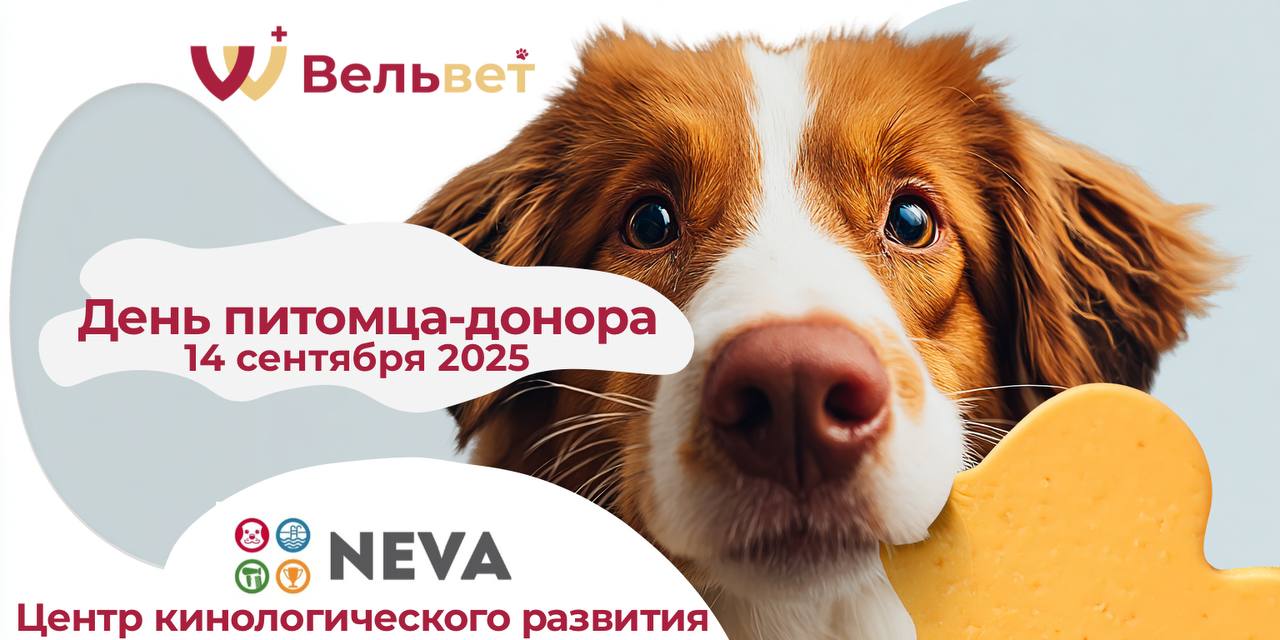 День питомца-донора