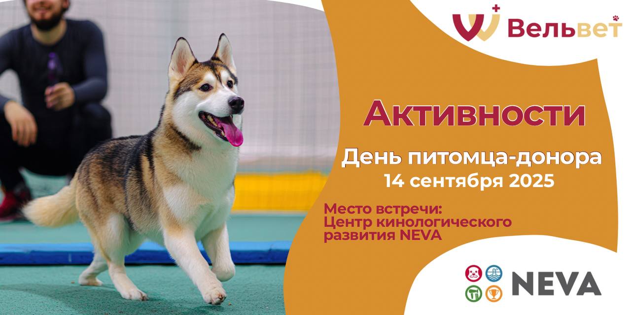Раскрашивание хвостиков