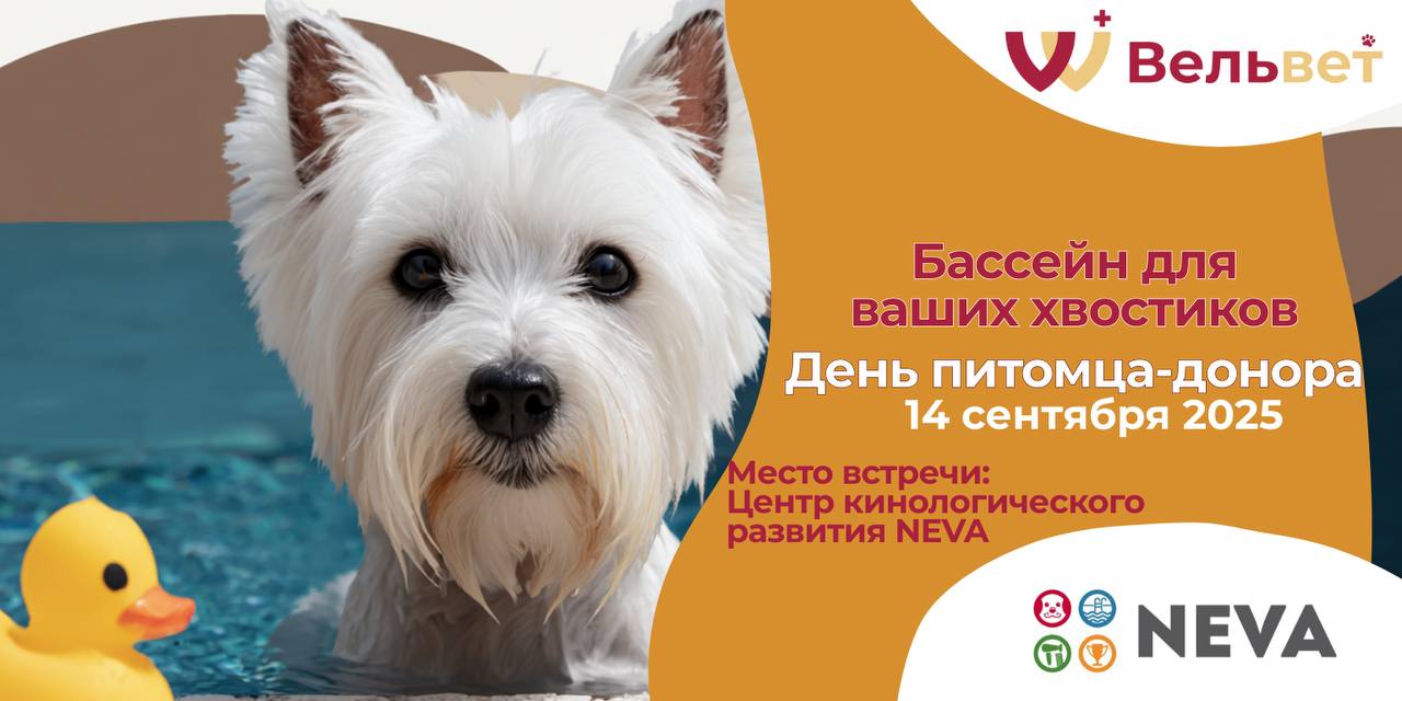 Бассейн для собак