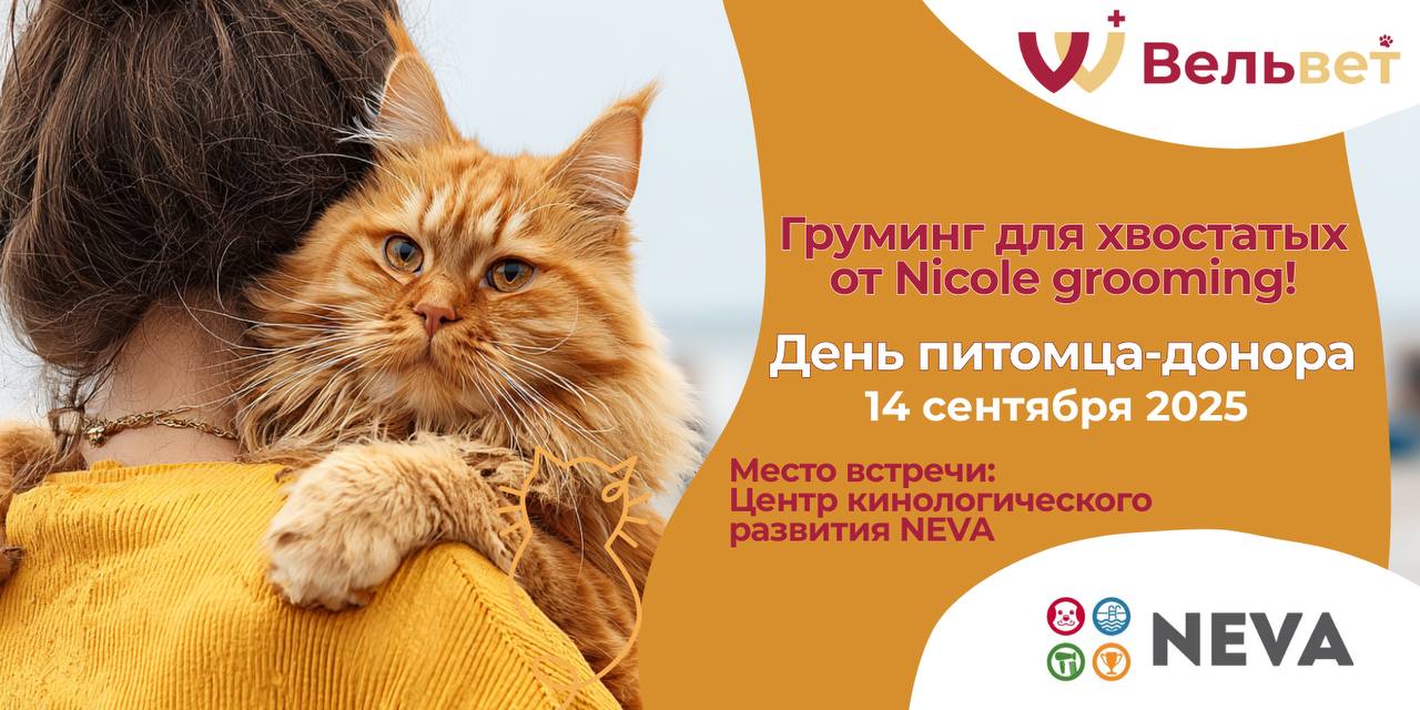 Груминг