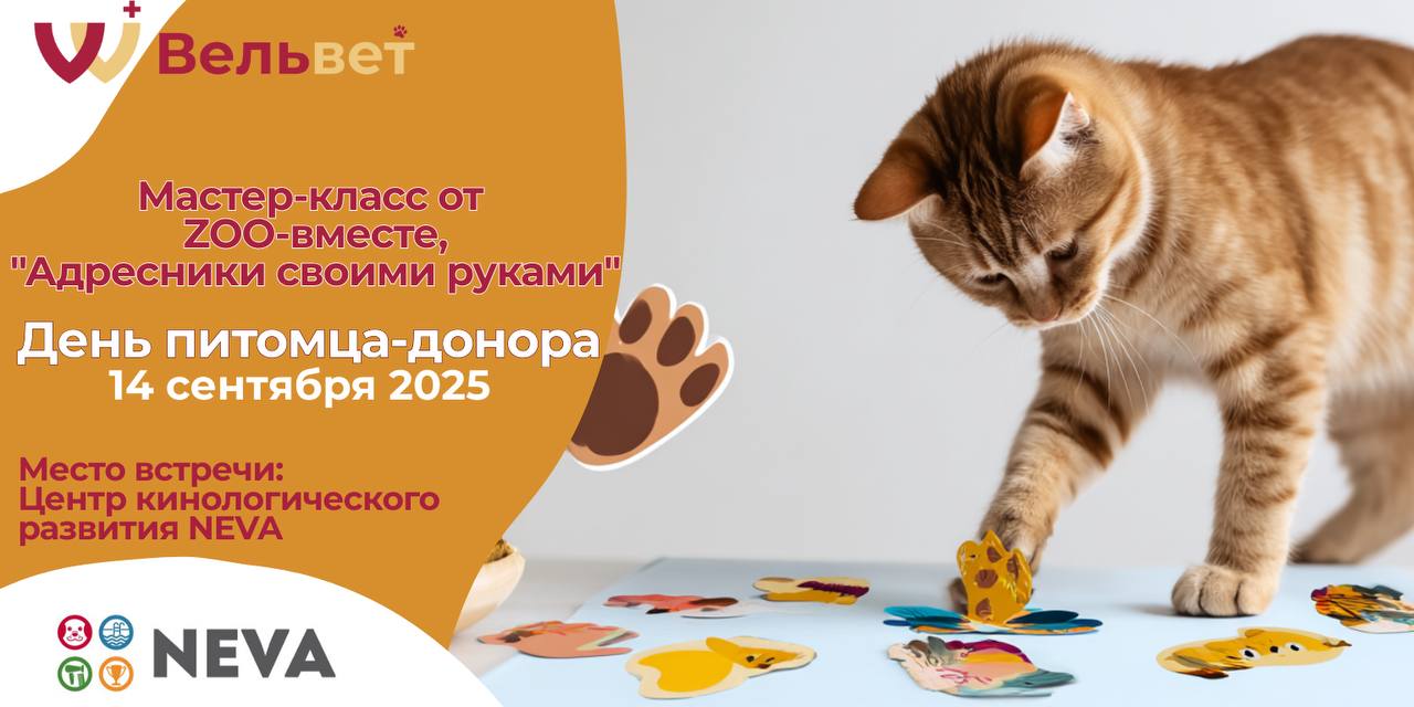 Адресники своими руками