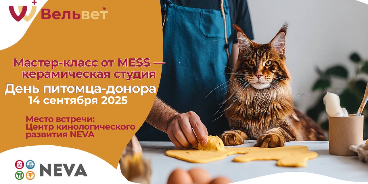 Керамика MESS