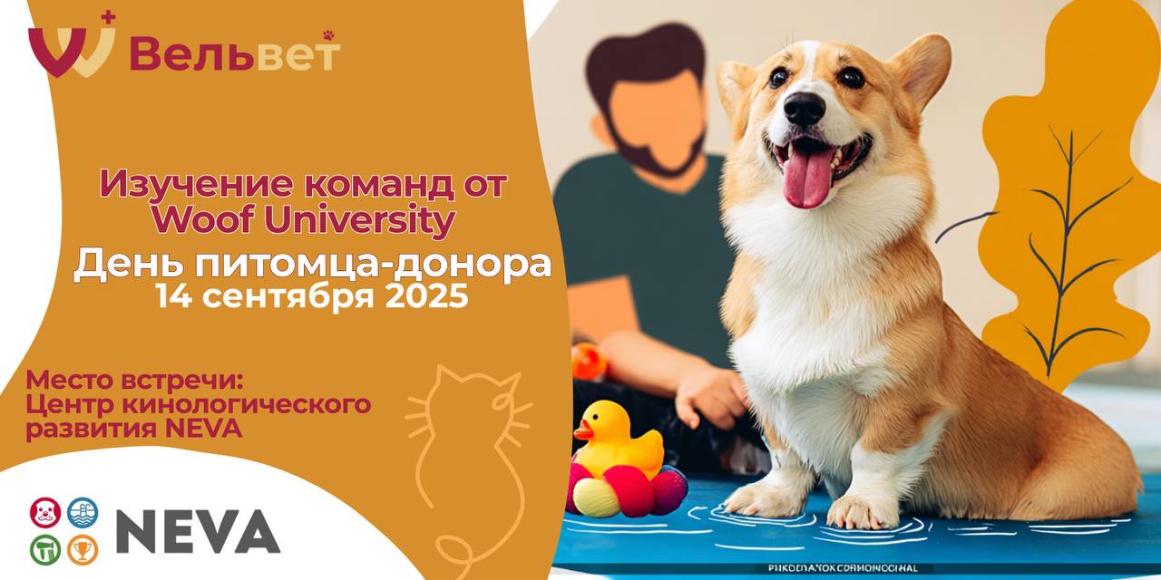 Woof University