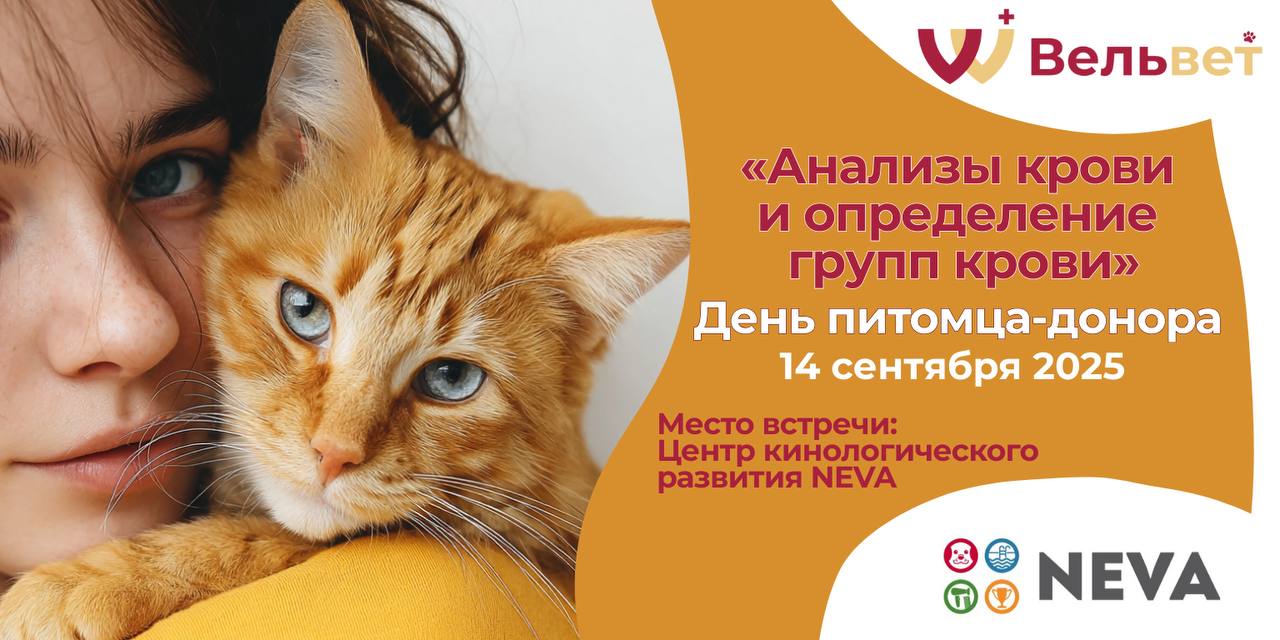 Анализы крови