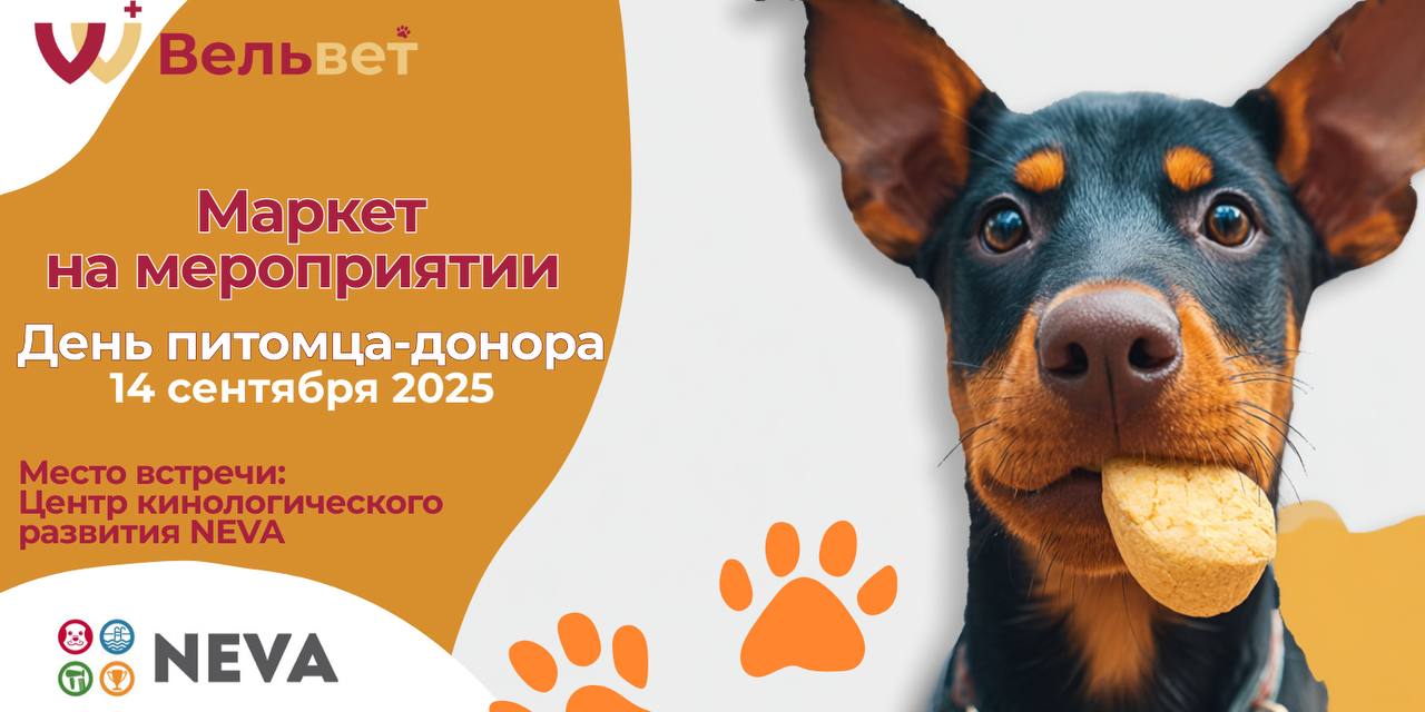 Маркет